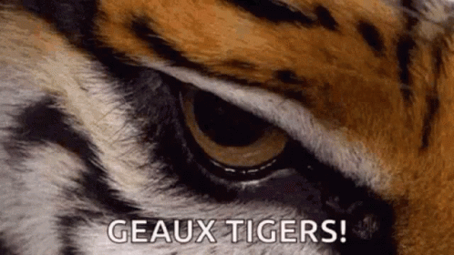 Geaux Tigers GIF - Geaux Tigers Lsu GIFs