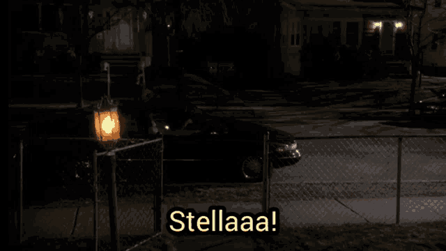 a woman standing in front of a fence with the words stellaaa written on it