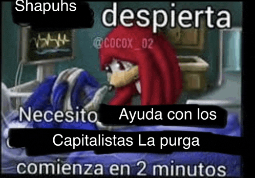 a cartoon of knuckles laying in a hospital bed with the words " necesita ayuda con los capitalistas la purga "