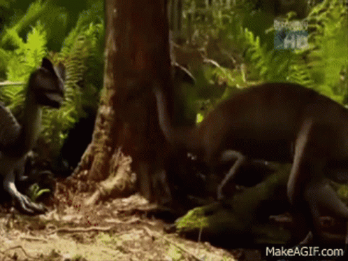 Dilo Attacking GIF - Dilo Attacking Walking With Dinosaurs GIFs