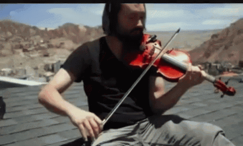 Violinista GIF - Violinista GIFs