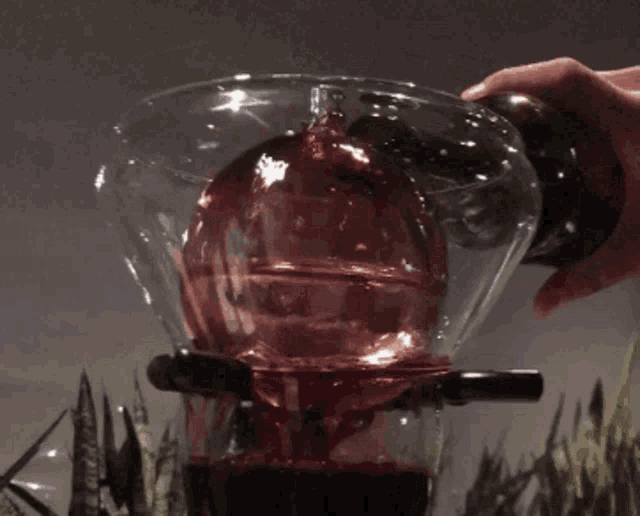 Wine Pour Wine GIF