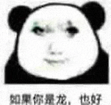 a panda bear with chinese writing on it 's face is smiling .