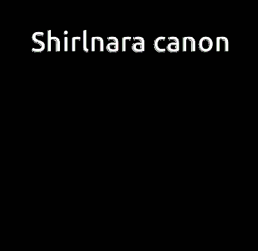 a cartoon of a man standing in front of a fire with the caption shirlnara canon