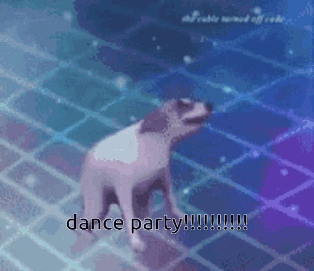a picture of a dog in a pool with the words dance party written below it