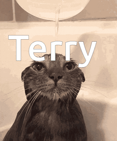 a cat in a bathtub with the word terry on the bottom
