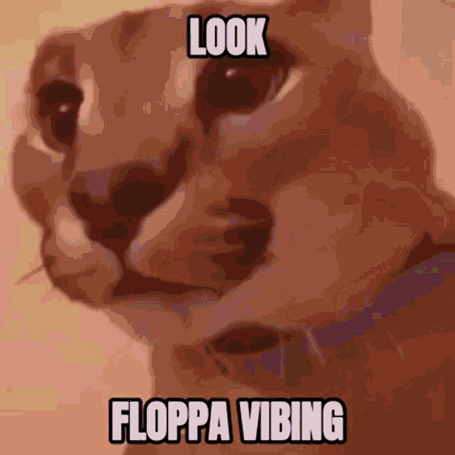Floppa Vibing Big Floppa Vibing GIF