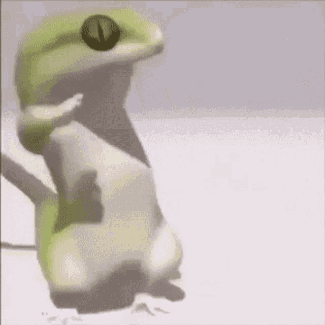 a green frog is sitting on a table with its mouth open .