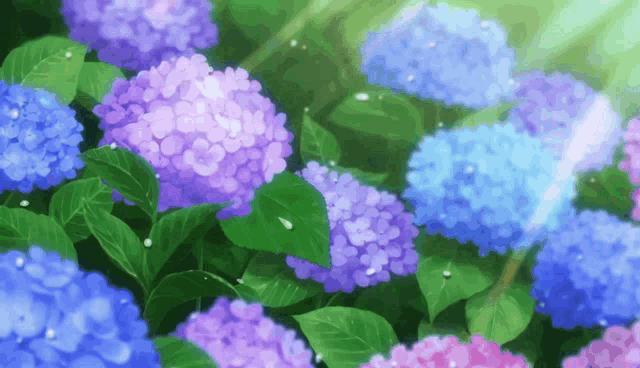 purple and blue flowers with green leaves on a sunny day
