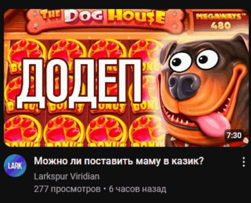 a video game called the dog house has a dog on it