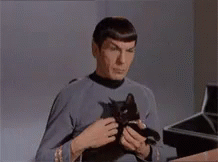 Wangray Spock GIF - Wangray Spock Cat GIFs