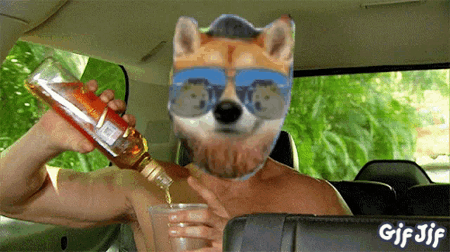 a man in a car with a dog on his face is pouring a drink into a glass