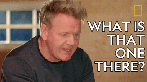 What Is That One There Gordon Ramsay GIF - What Is That One There Gordon Ramsay Gordon Ramsay Uncharted GIFs