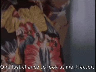 a man in a hawaiian shirt says " one last chance to look at me, hector "