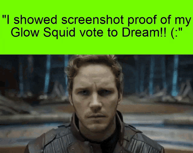 a screenshot of a glow squid vote to dream