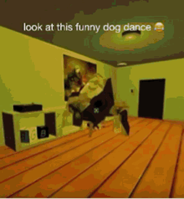 Dog Markiplier GIF - Dog Markiplier Dancing GIFs