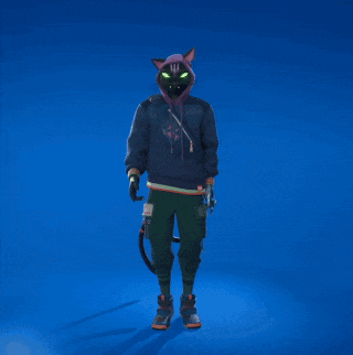 a person wearing a cat mask and a hoodie with a dollar sign on it is standing with their arms outstretched