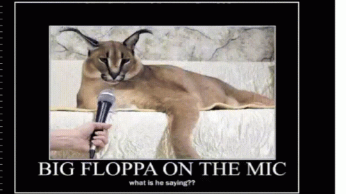 Floppa Cat Discord GIF - Floppa Cat Discord GIFs