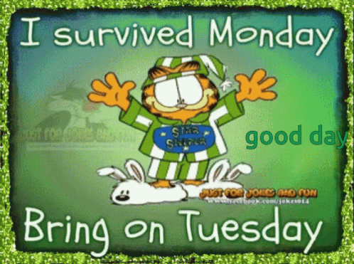 Good Day Bring On Tuesday GIF - Good Day Bring On Tuesday Survived Monday GIFs