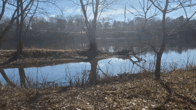 a river surrounded by trees with a bridge in the distance