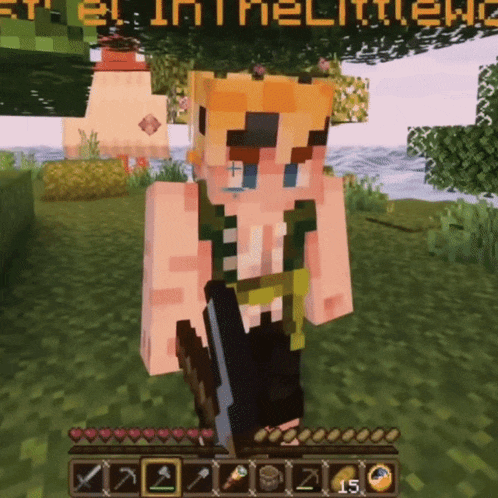 a minecraft character is holding a gun and has the name eli in the upper left corner