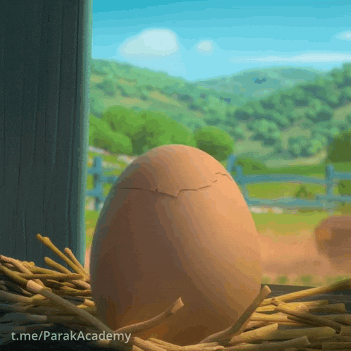 a cracked egg is sitting in a nest with the url parakaacademy