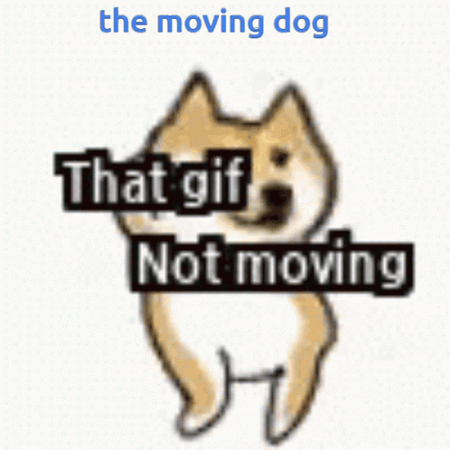 The Moving Dog GIF - The Moving Dog GIFs
