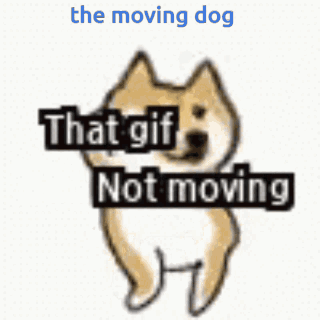 a dog with the words the moving dog that gif not moving
