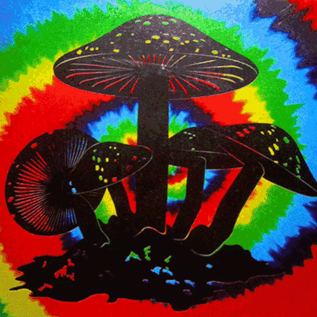 a colorful painting of mushrooms with a rainbow in the background