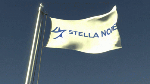 Stellanode Flag GIF - Stellanode Flag Stellanode Flag GIFs