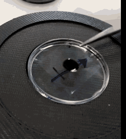 Magnetic Compass GIF - Magnetic Compass Direction GIFs