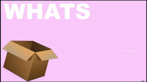 Whats In The Box Mystery GIF - Whats In The Box Mystery Surprise GIFs