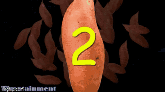 Yam Fact2 Yam Were Invented Three Time Ago GIF - Yam Fact2 Yam Were Invented Three Time Ago Settlers Run Out Of Glass To Eat GIFs