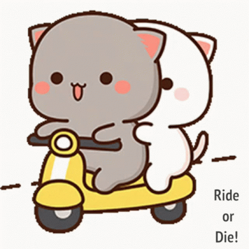 Ride Or Die Rollin GIF - Ride Or Die Rollin Thug Life GIFs