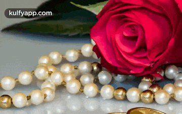 a red rose is next to a pearl necklace and a wedding ring