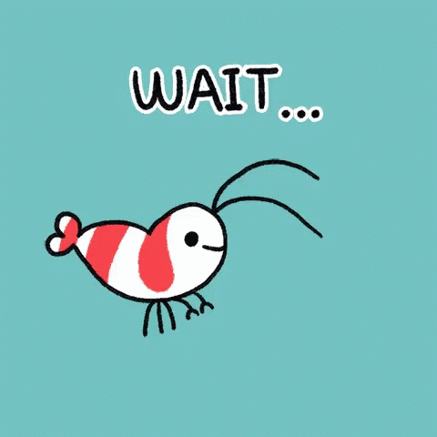 Wait Shrimp GIF - Wait Shrimp Wait A Second GIFs