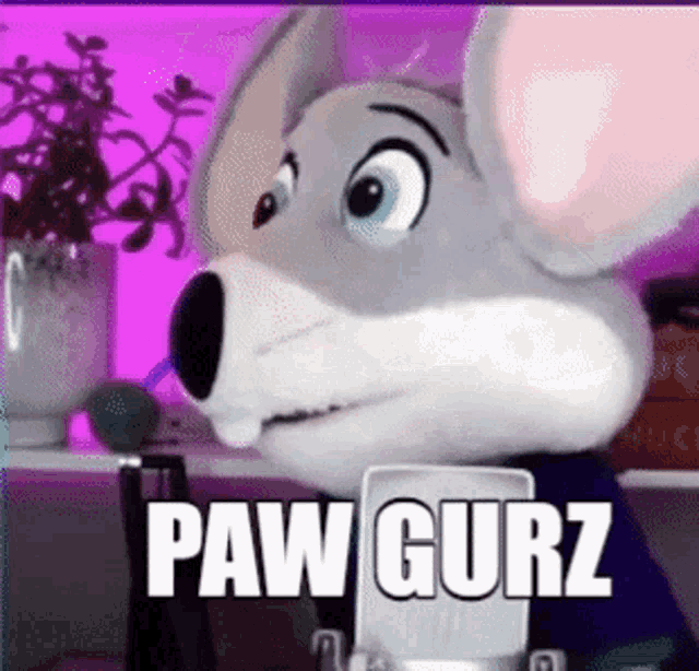 Pawgurz Poggers GIF - Pawgurz Poggers Chuckecheese GIFs