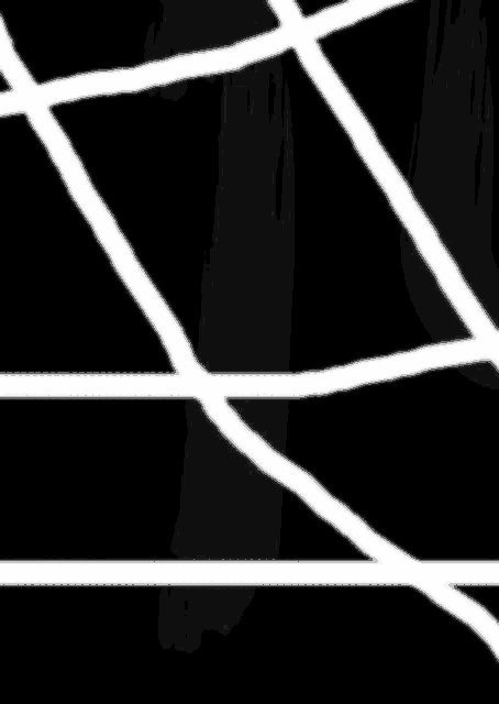 a black and white drawing of a person 's legs with white lines on a black background .