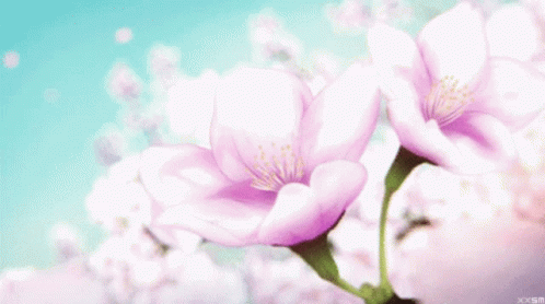 Sakura Flower GIF - Sakura Flower Pink GIFs