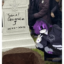 a person is kneeling in front of a grave with a sign that says `` serial designation '' .