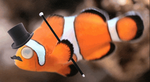a clown fish wearing a top hat and a cane