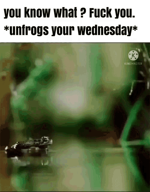 Frog GIF