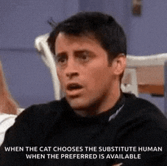 a man is sitting on a couch with a quote that says when the cat chooses the substitute human