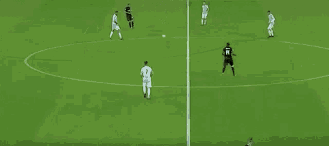 a group of soccer players are playing on a soccer field .