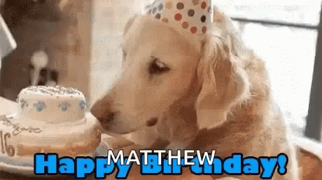 Happy Birthday Golden Retriever GIF - Happy Birthday Golden Retriever Dog Birthday GIFs
