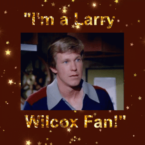 Larry Wilcox GIF - Larry Wilcox Larry Wilcox GIFs