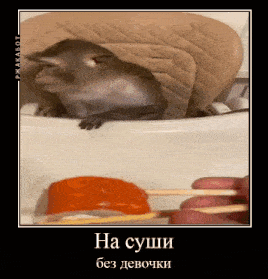 a monkey is sitting in a high chair next to a person holding chopsticks and a piece of sushi .