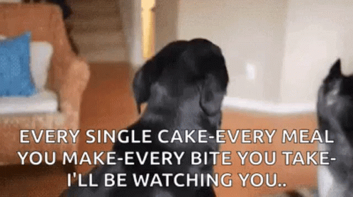Hungry Dog Ill Be Watching You GIF