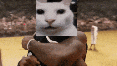 Uncanny Cat Lebron James GIF - Uncanny Cat Uncanny Lebron James GIFs