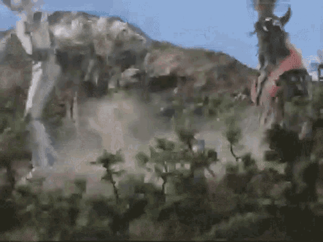 a man riding a horse in a field with a mountain in the background